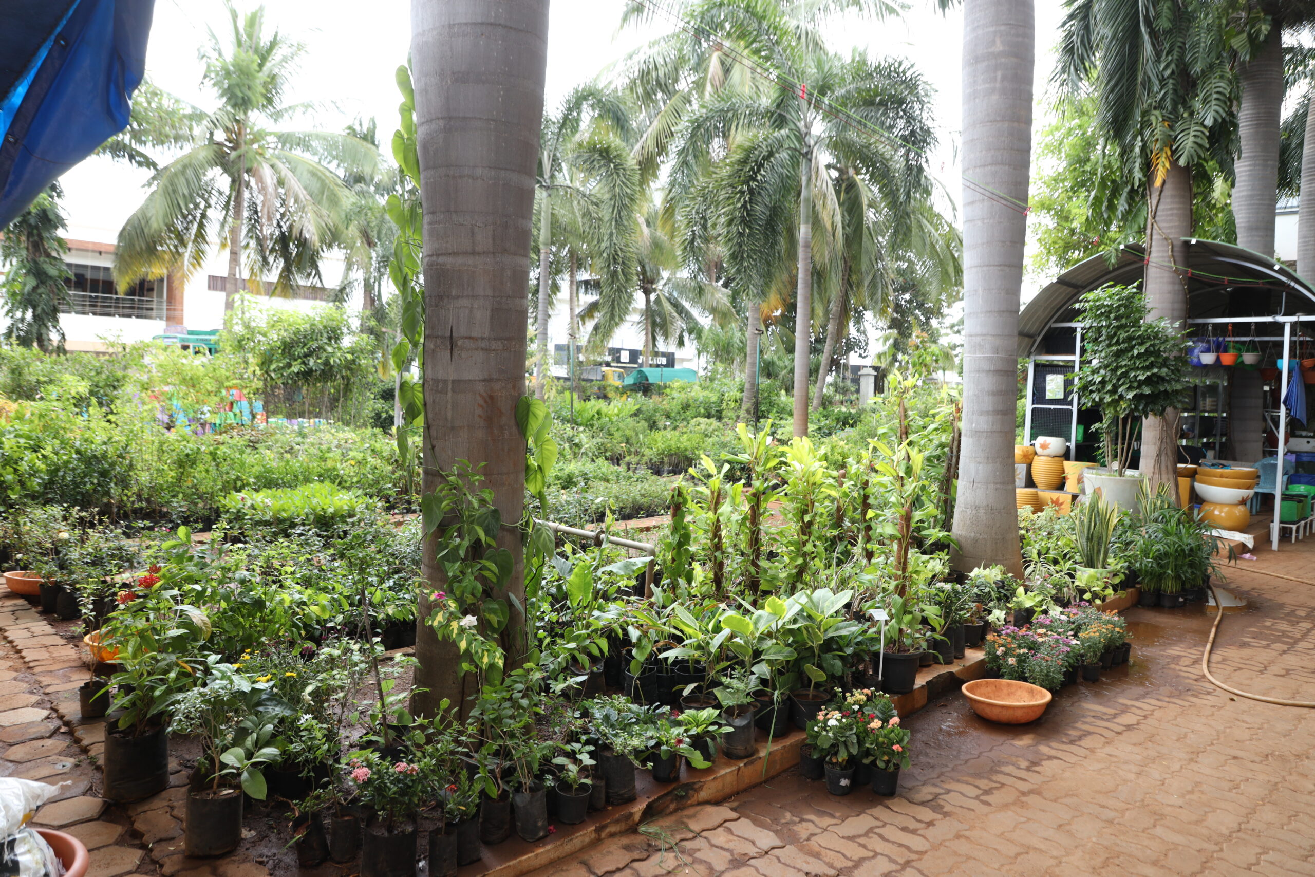 Aadhiyaexports%20Pvt%20Ltd